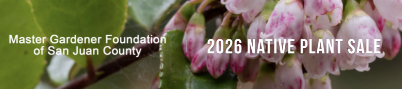 Banner for the Master Gardener Foundation of San Juan County 2026 Native Plant Sale, featuring a close-up background of delicate pink and white bell-shaped flowers and glossy green leaves.
